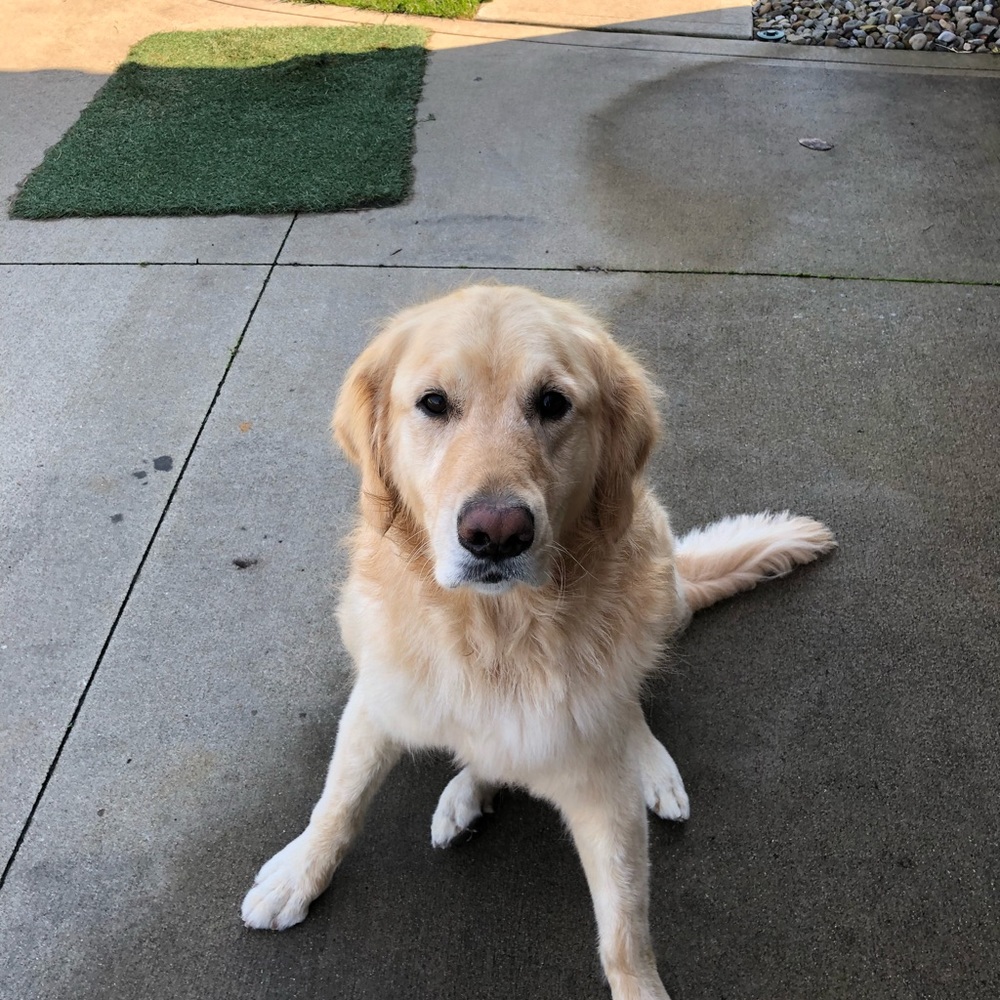 Meet your Posher, Katy